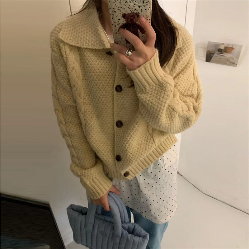 Women's chunky knit cardigan with contrasting buttons and textured design NOVAE